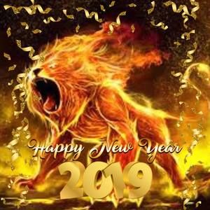 Meet your Posher, Leo